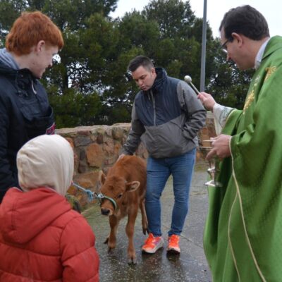 La diócesis de Tarazona celebra la fiesta de San Antón con la tradicional bendición de los animales