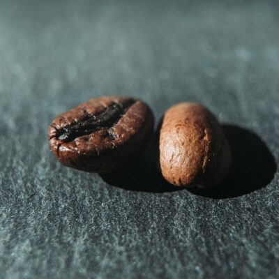 La caña cascada no la quebrará