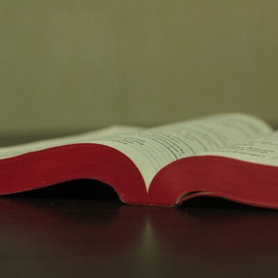 Ser Palabra de Dios pronunciada en la vida de los hombres. Carta del obispo de Barbastro-Monzón. 25 de enero de 2026