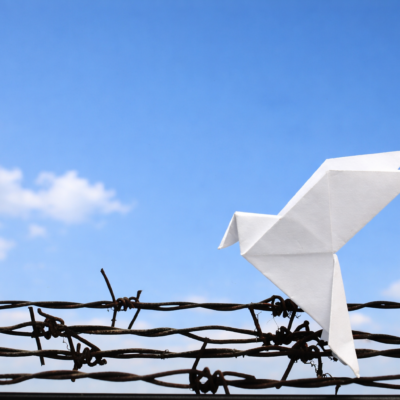 Una paz desarmada y desarmante. Carta del obispo de Barbastro-Monzón. 15 de febrero de 2026