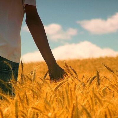 Lectio Divina: 7 de julio de 2026