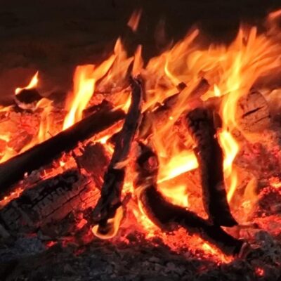 Lectio Divina: 22 de octubre de 2026