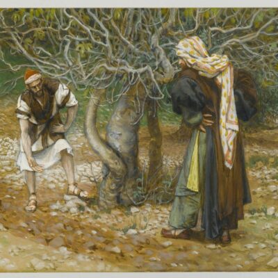 Lectio Divina: 24 de octubre de 2026